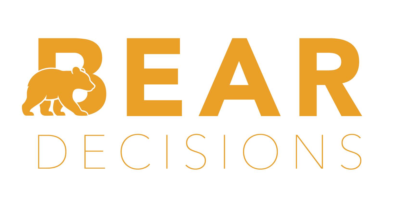 What is Bear Decisions?